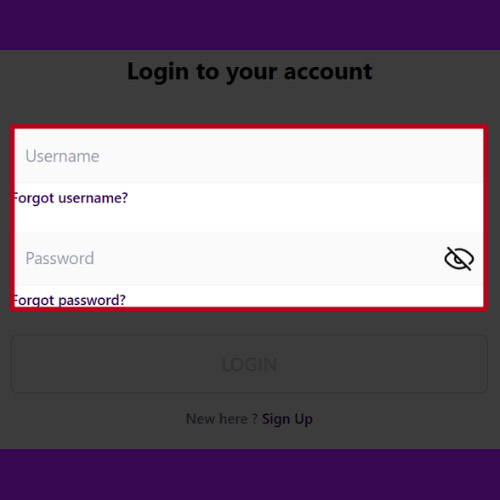 Fill out the Zuplay form